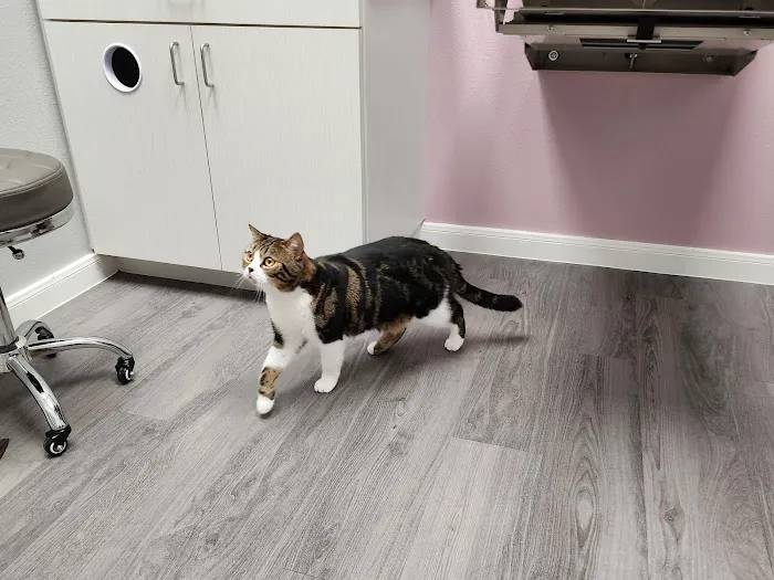 TruVet Pet Hospital Picture 6