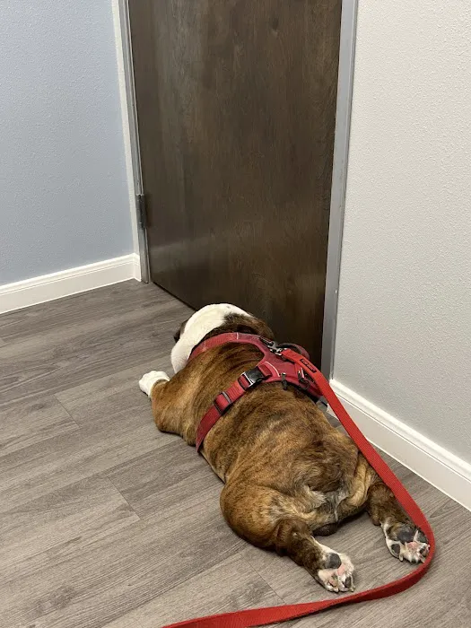 TruVet Pet Hospital Picture 10