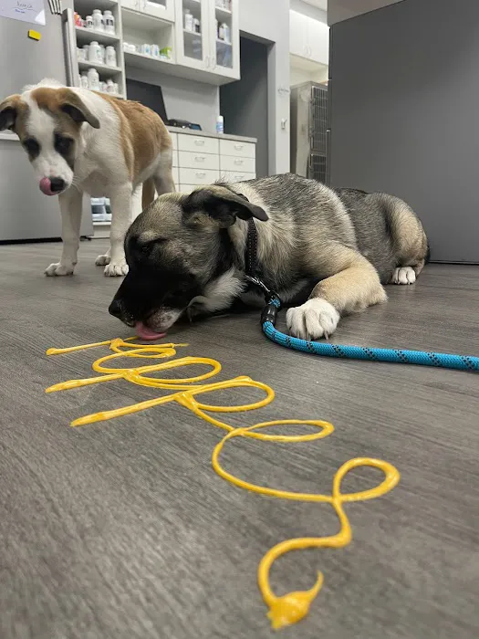 TruVet Pet Hospital Picture 5