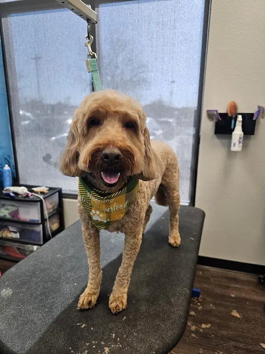 CityVet | Phillips Creek Picture 3