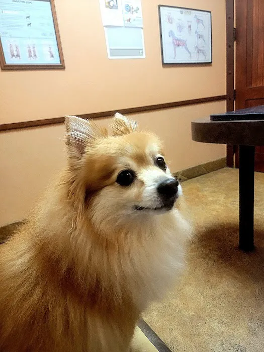 Stonebriar Veterinary Centre Picture 1