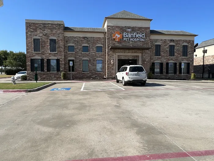 Banfield Pet Hospital Picture 5