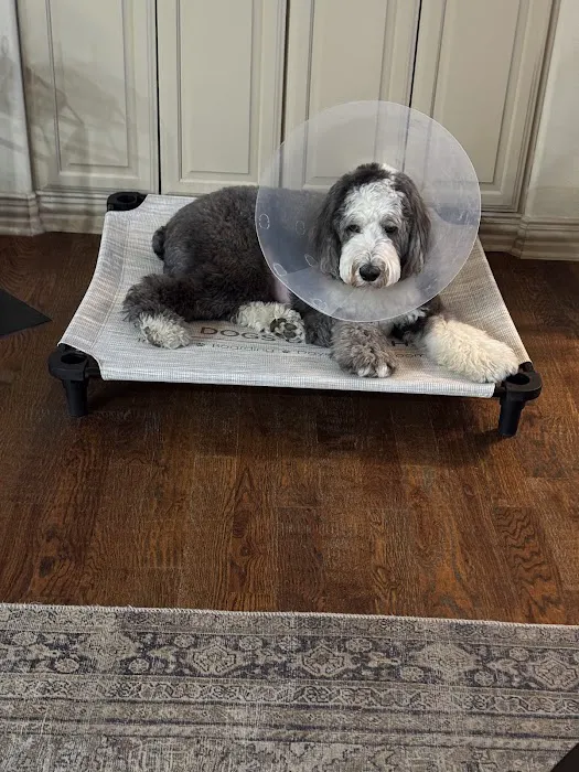 Banfield Pet Hospital Picture 6