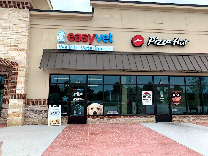 easyvet Veterinarian Frisco Picture 6