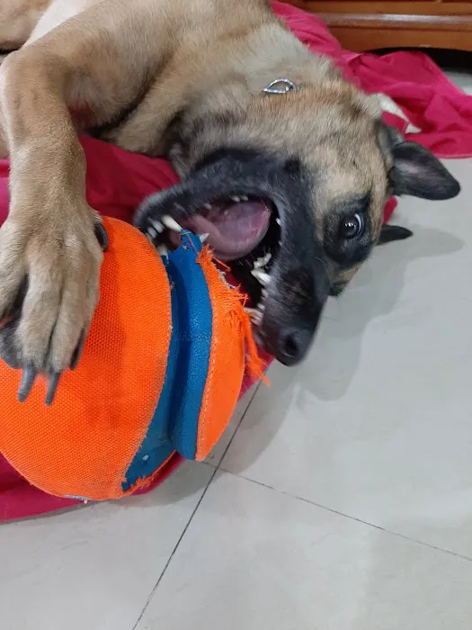 Banfield Pet Hospital Picture 7