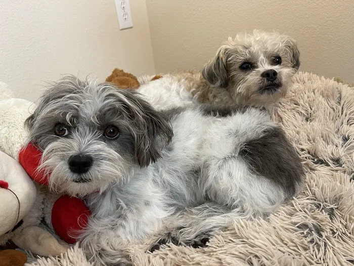 Phillips Creek Veterinary Hospital Picture 10