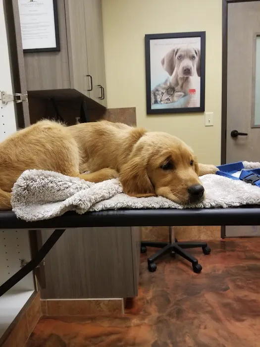 Phillips Creek Veterinary Hospital Picture 7