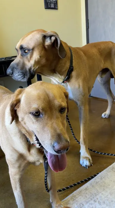 Phillips Creek Veterinary Hospital Picture 4