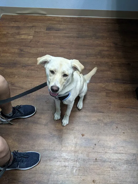 Family Friends Veterinary Hospital Picture 3