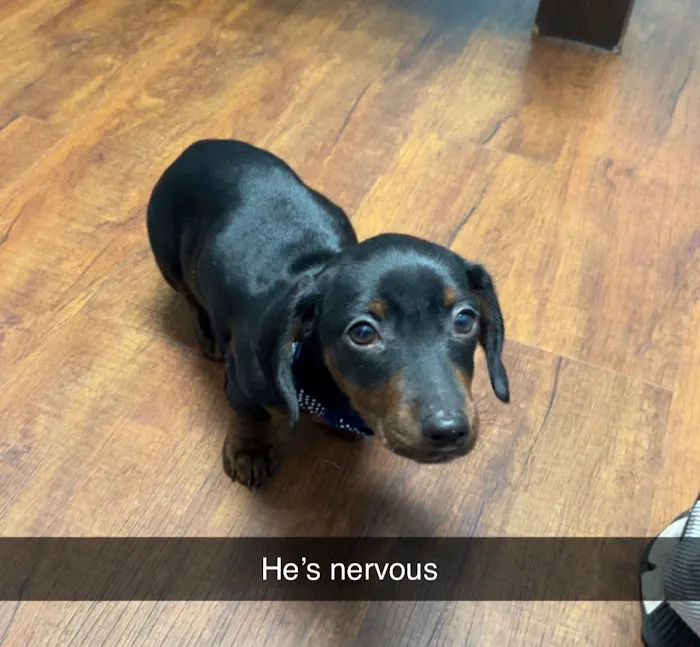 Family Friends Veterinary Hospital Picture 8