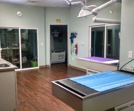 Family Friends Veterinary Hospital