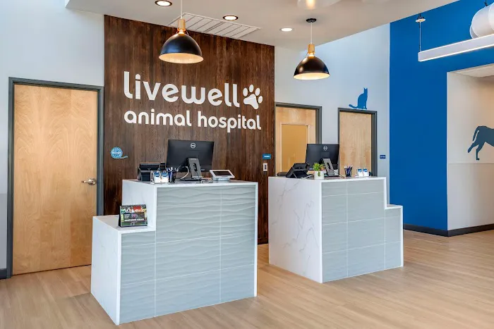 Livewell Animal Hospital of Little Elm Picture 7