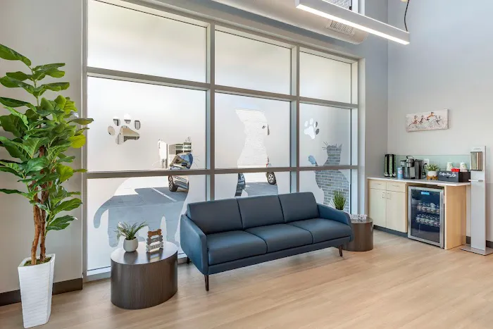 Livewell Animal Hospital of Little Elm Picture 6