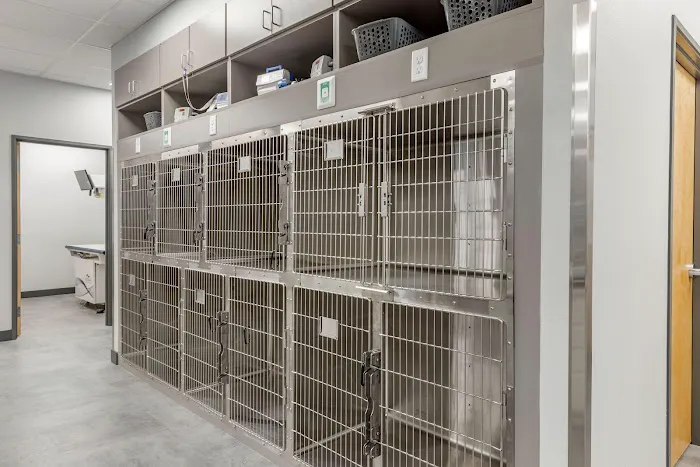 Livewell Animal Hospital of Little Elm Picture 9