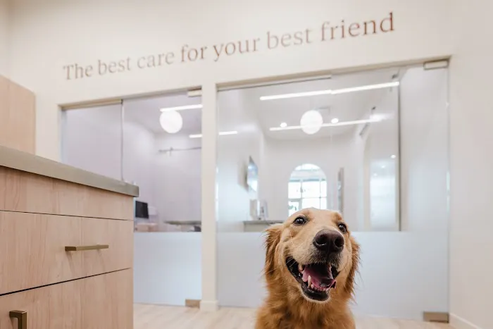 Petfolk Veterinary & Urgent Care - Frisco Picture 1