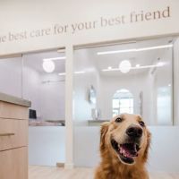 Petfolk Veterinary & Urgent Care - Frisco ico