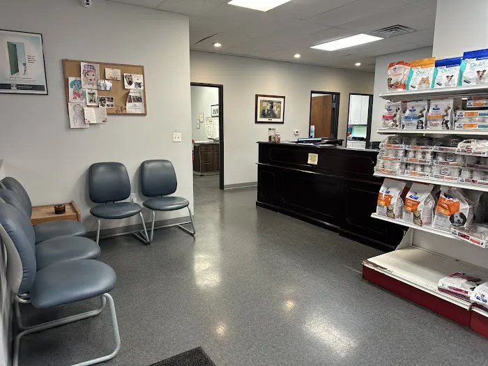 Willow Bend Vet Clinic Picture 3