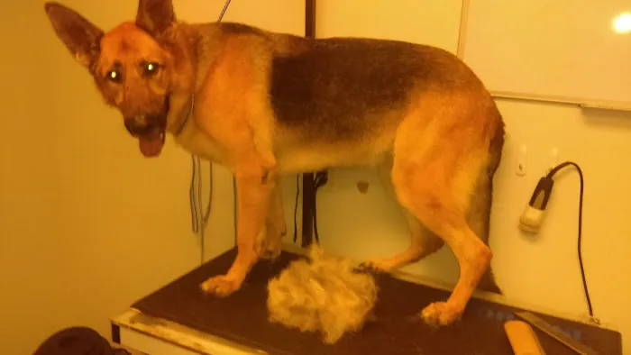 Willow Bend Vet Clinic Picture 1