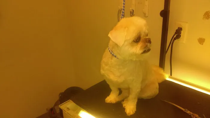 Willow Bend Vet Clinic Picture 6