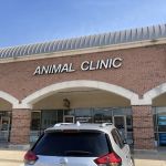 Companion Animal Hospital