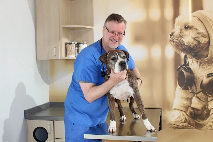 CityVet | Preston Park Picture 3