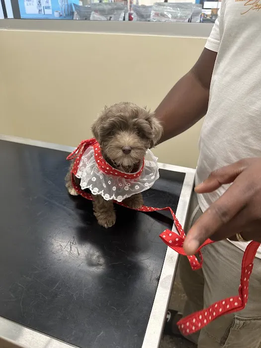 Vetco Total Care Animal Hospital Picture 9
