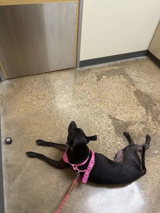 Vetco Total Care Animal Hospital Picture 7