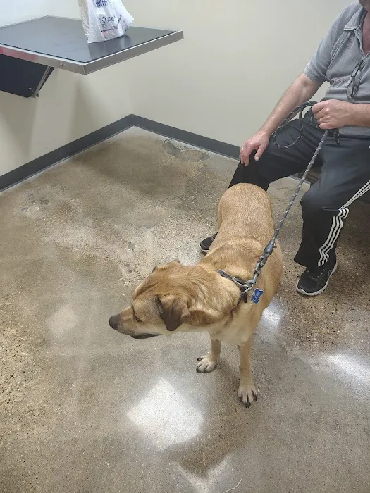 Vetco Total Care Animal Hospital Picture 4