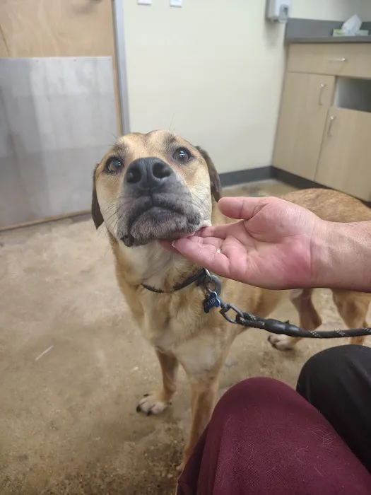 Vetco Total Care Animal Hospital Picture 3