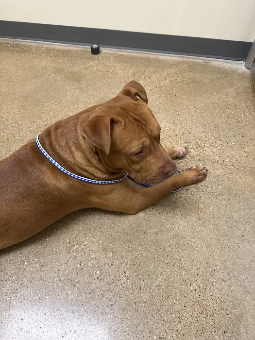 Vetco Total Care Animal Hospital Picture 2