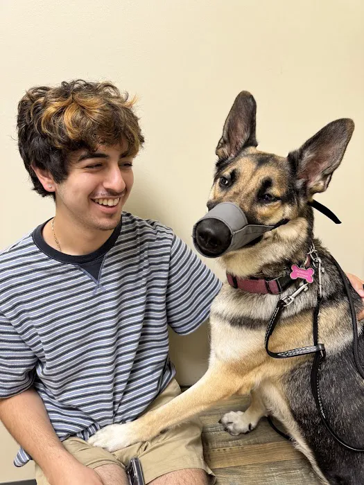 Vetco Total Care Animal Hospital Picture 5