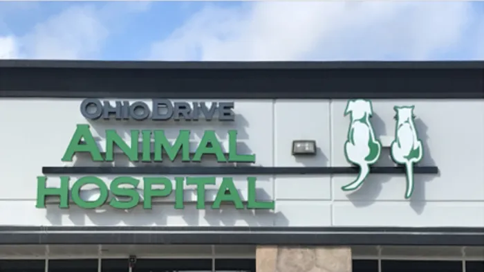 Ohio Drive Animal Hospital Picture 9