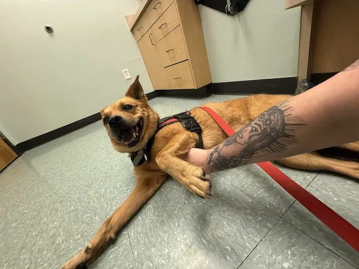 Ohio Drive Animal Hospital Picture 4