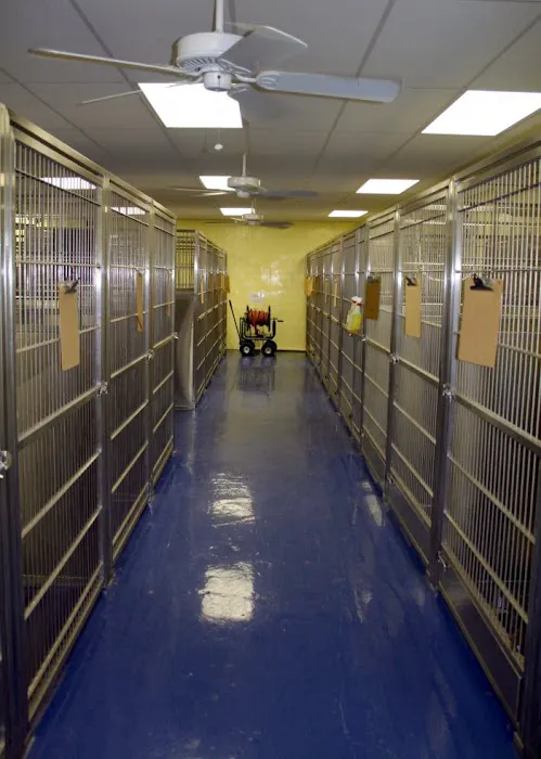 VCA Animal Care Hospital Picture 7