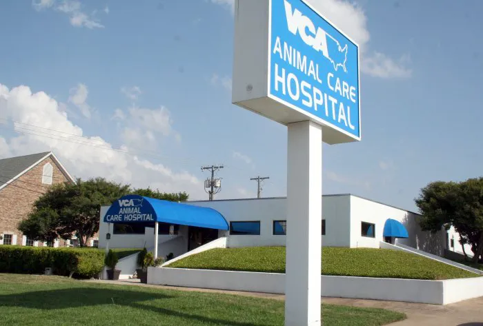 VCA Animal Care Hospital Picture 3