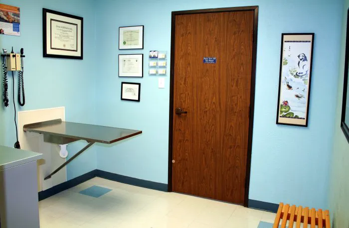 VCA Animal Care Hospital Picture 2