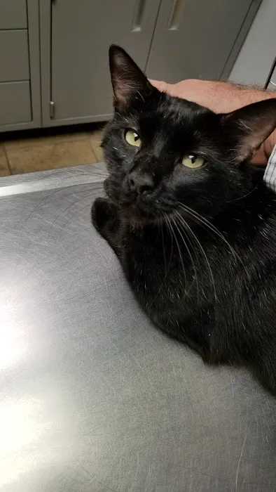 VCA Animal Care Hospital Picture 8