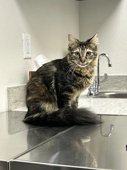Grounds For Hounds Veterinary Clinic Picture 2