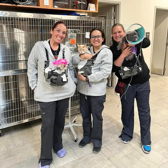 Veterinary Emergency Group Picture 10