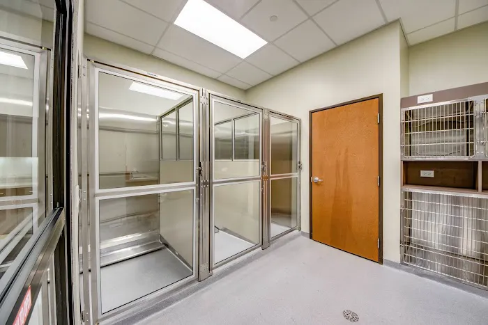 Animal Eye Clinic of Fort Worth Picture 3