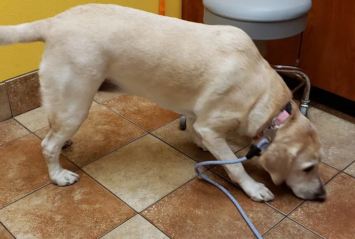 Banfield Pet Hospital Picture 6