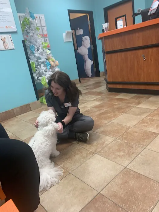 Banfield Pet Hospital Picture 7