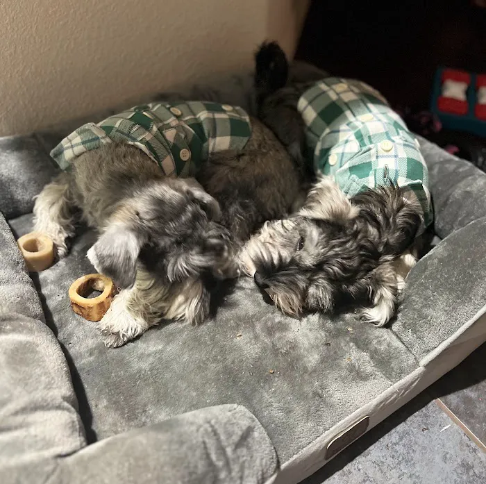 Banfield Pet Hospital Picture 1