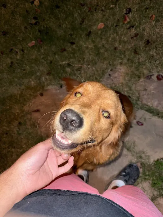 Lake Worth Animal Clinic Picture 1