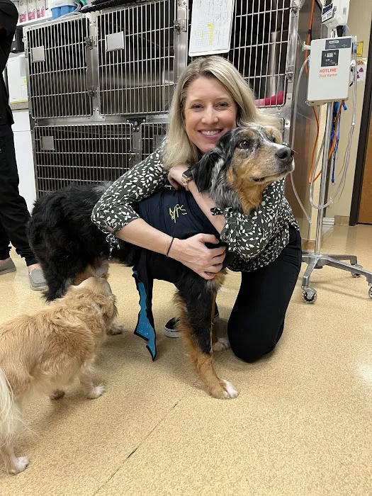 CityVet | Lake Worth Picture 9