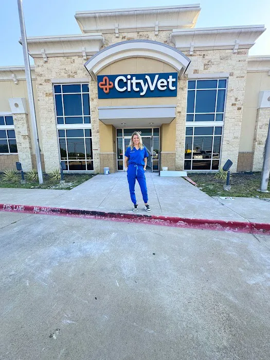 CityVet | Lake Worth Picture 4