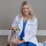 CityVet | Lake Worth