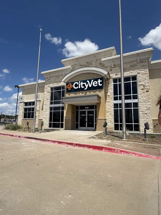 CityVet | Lake Worth Picture 3
