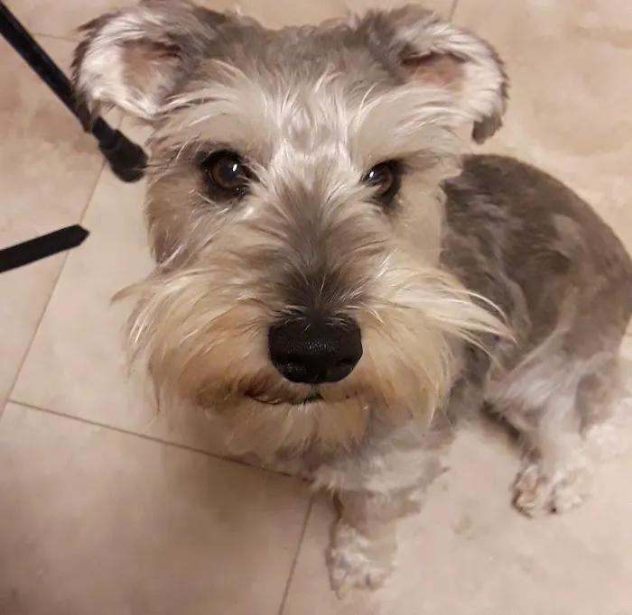 Banfield Pet Hospital Picture 2