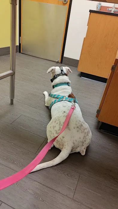 Banfield Pet Hospital Picture 8